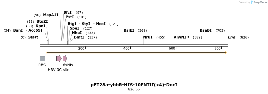 90753_map