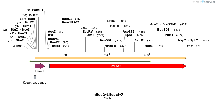 90764_map