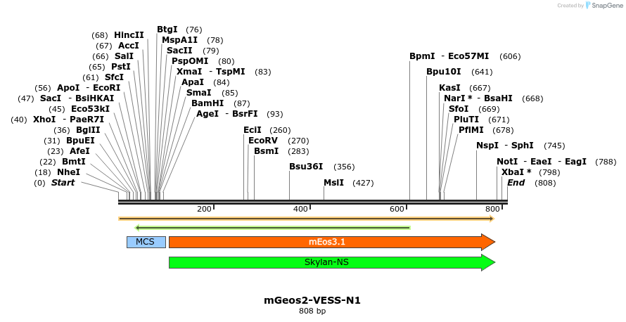 90765_map