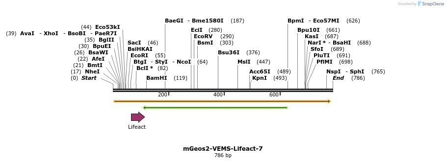 90766_map