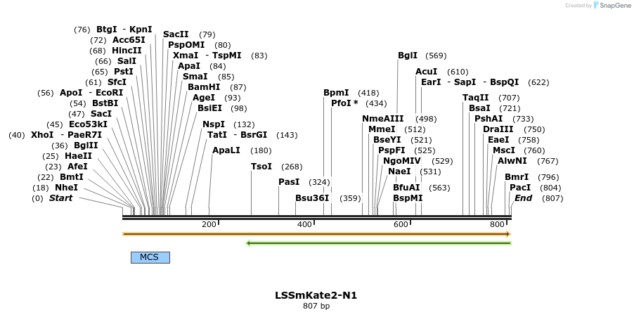90767_map