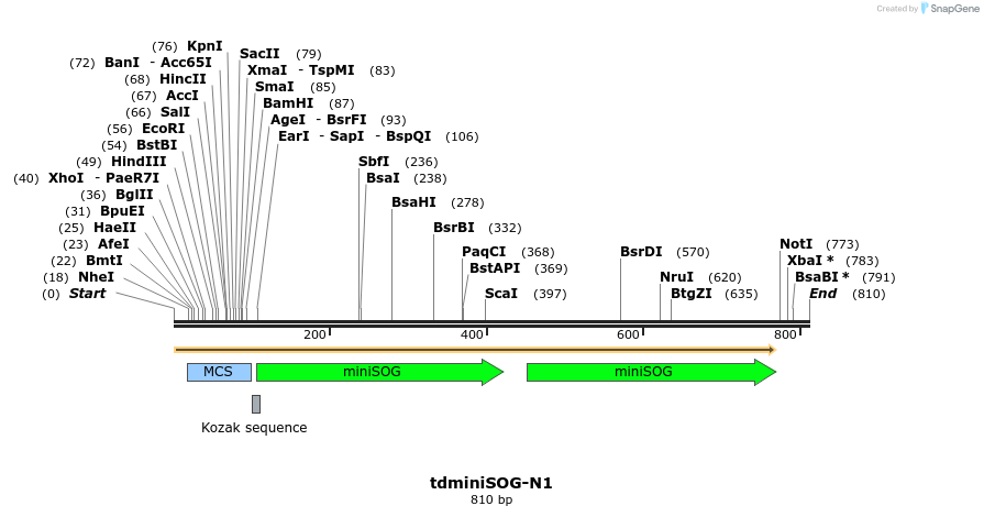 90768_map
