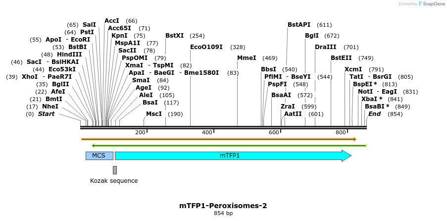 90770_map