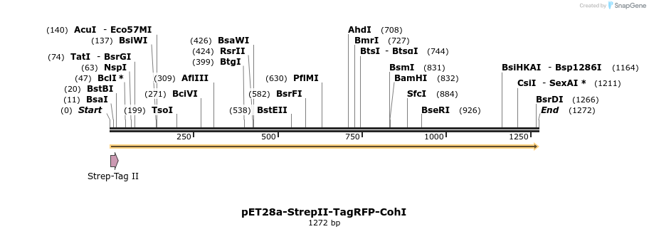 90771_map