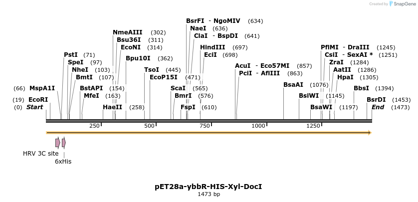 90775_map