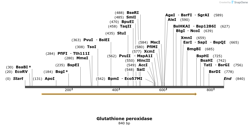 9078_map