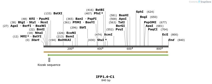 90780_map