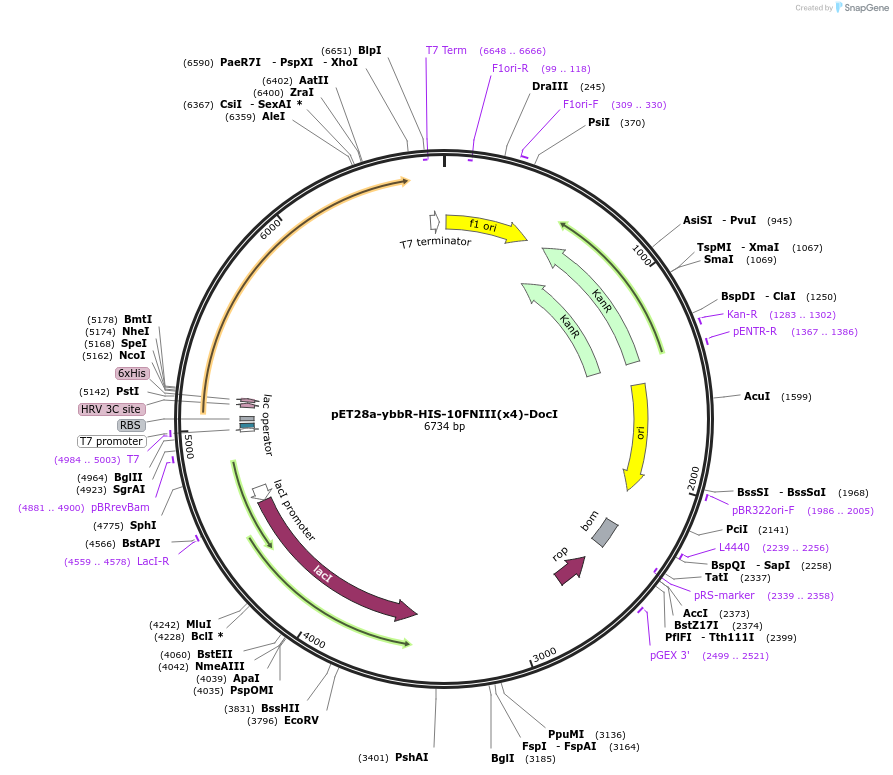 90782_map