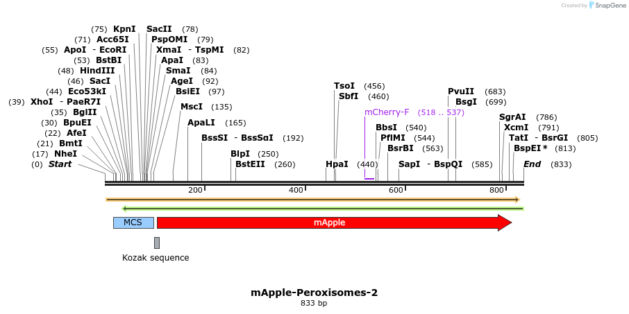 90783_map