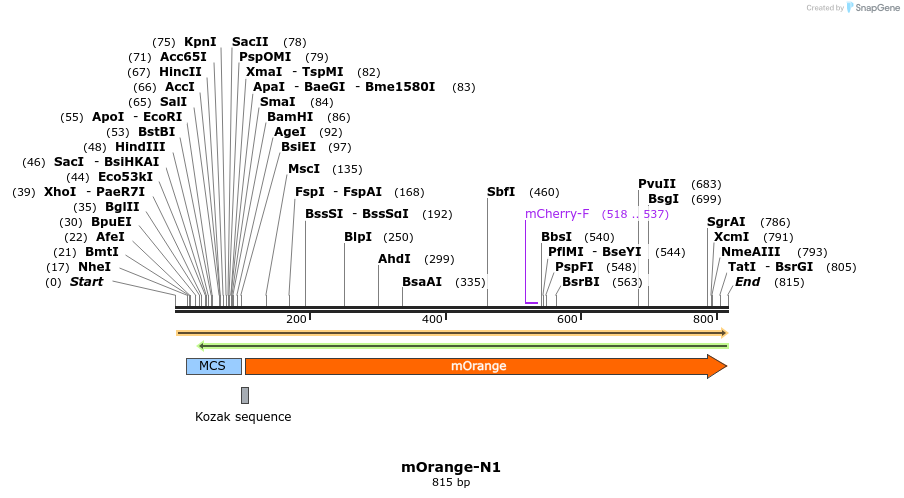 90784_map