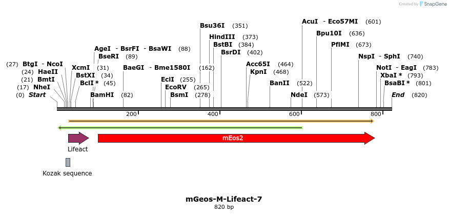 90786_map