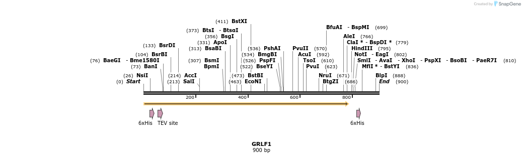 90787_map