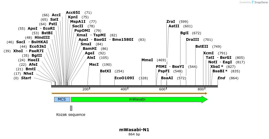 90790_map