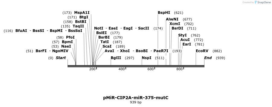 90791_map
