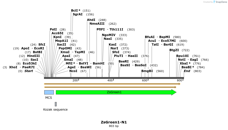 90793_map