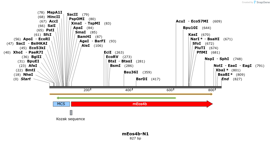 90795_map