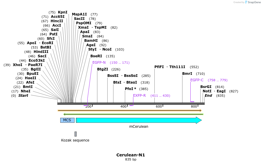 90796_map
