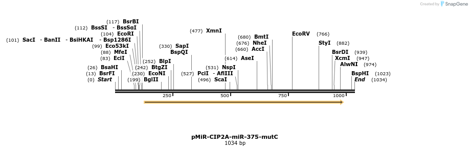90797_map
