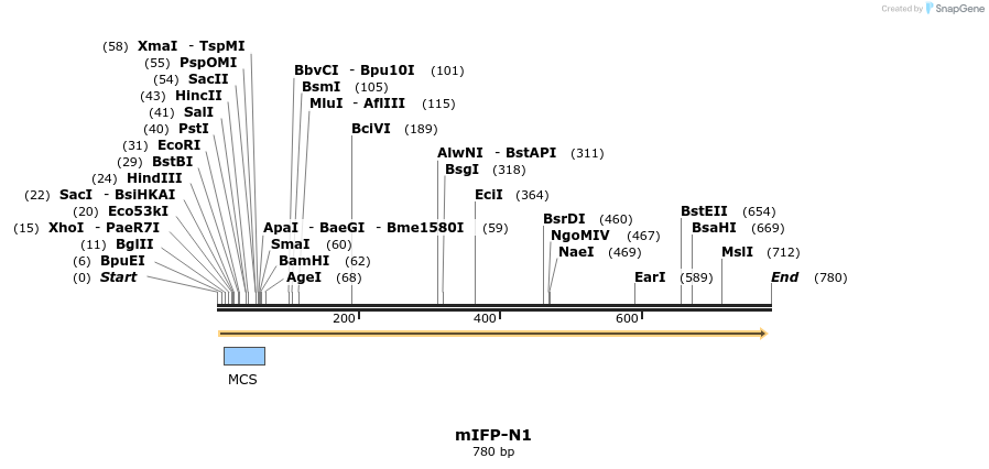 90798_map