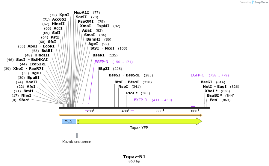 90800_map