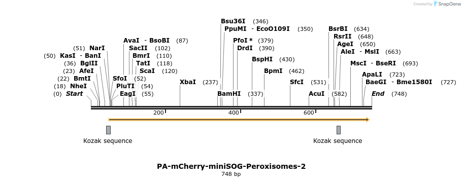 90801_map