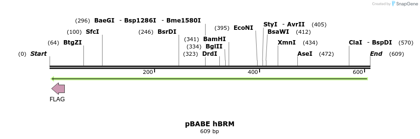90803_map