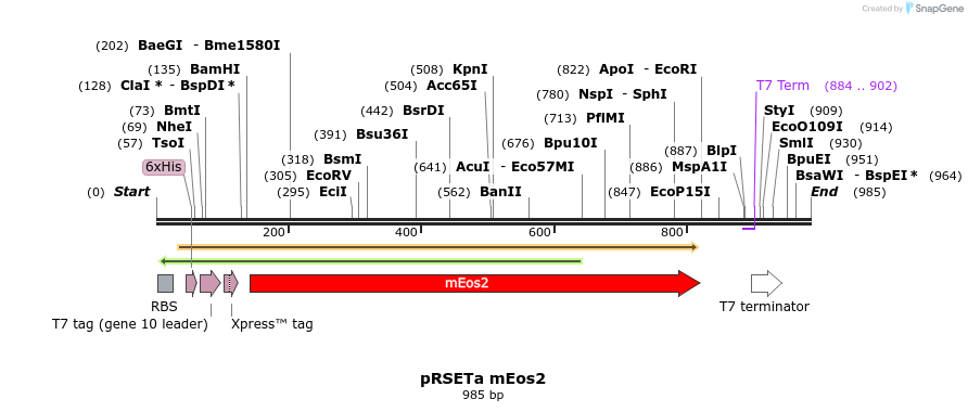 90804_map