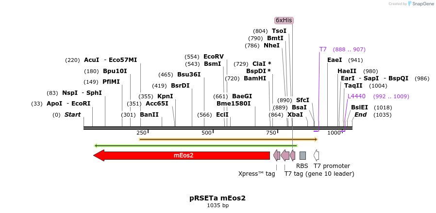 90805_map