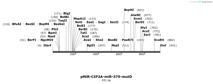 90807_map