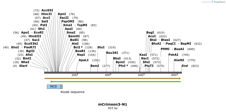 90813_map