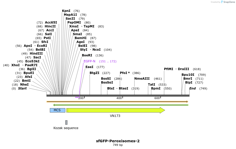 90814_map