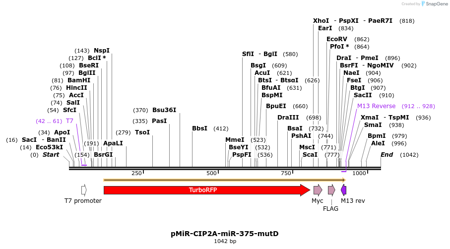 90820_map
