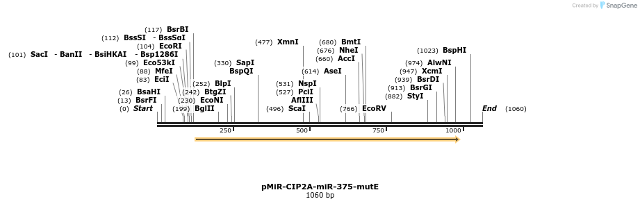 90831_map