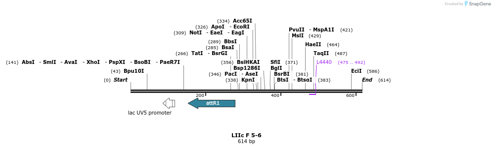 90835_map