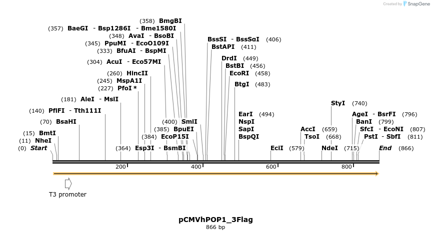 90836_map