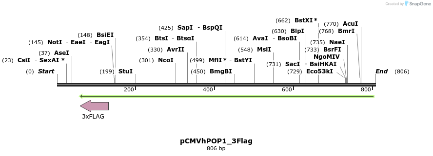 90840_map