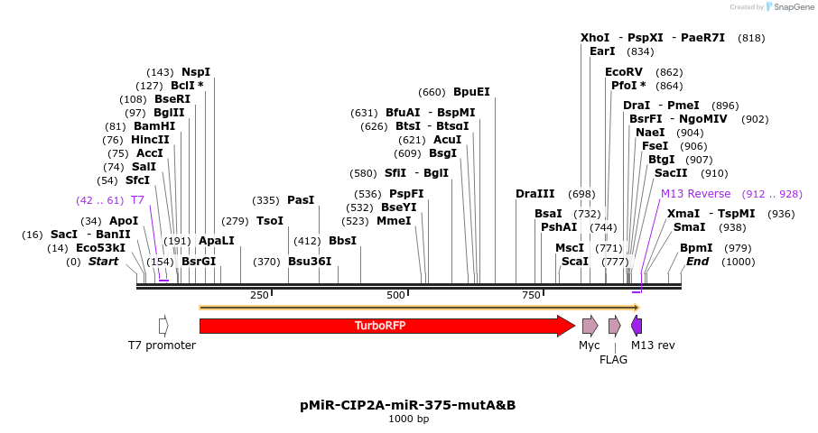 90841_map