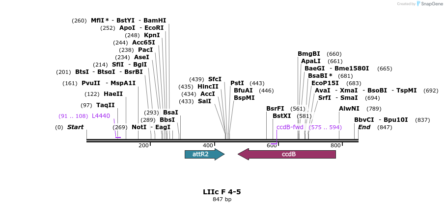 90842_map
