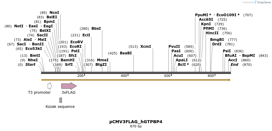 90843_map