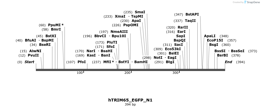 90847_map