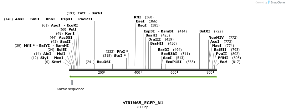 90848_map