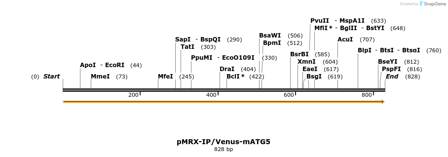 90866_map