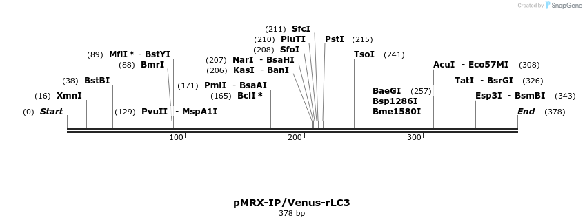 90867_map