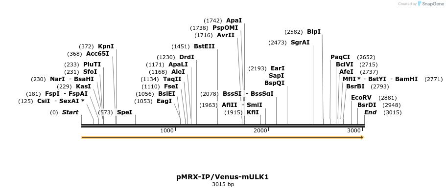 90870_map