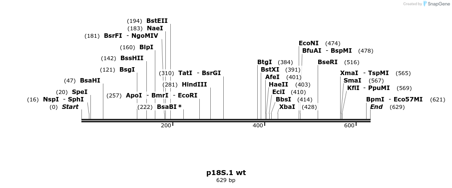 90876_map