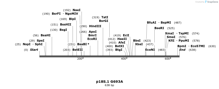 90878_map