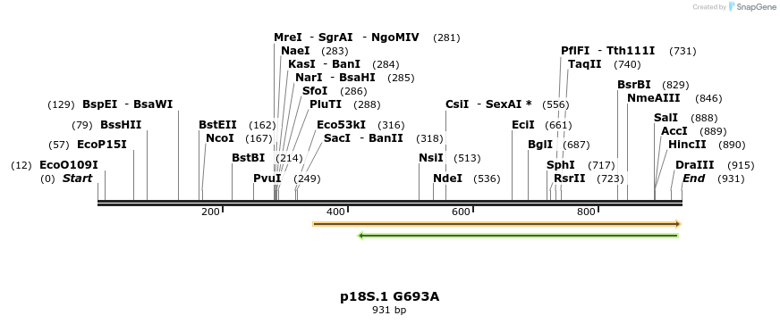 90879_map
