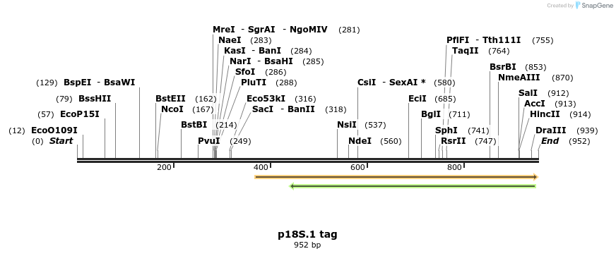 90881_map