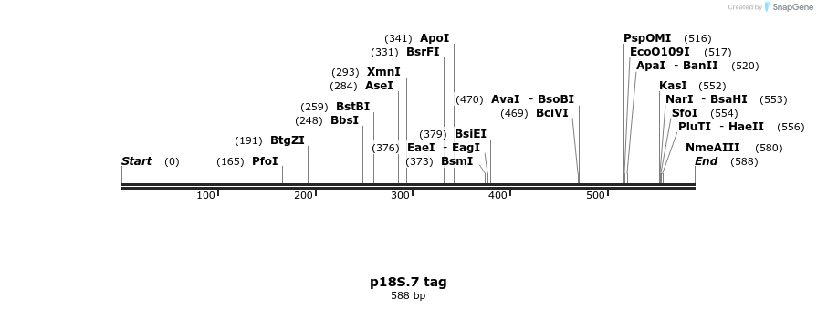 90884_map