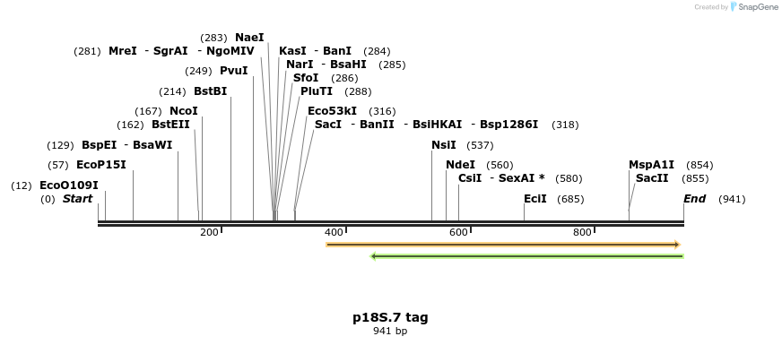 90888_map